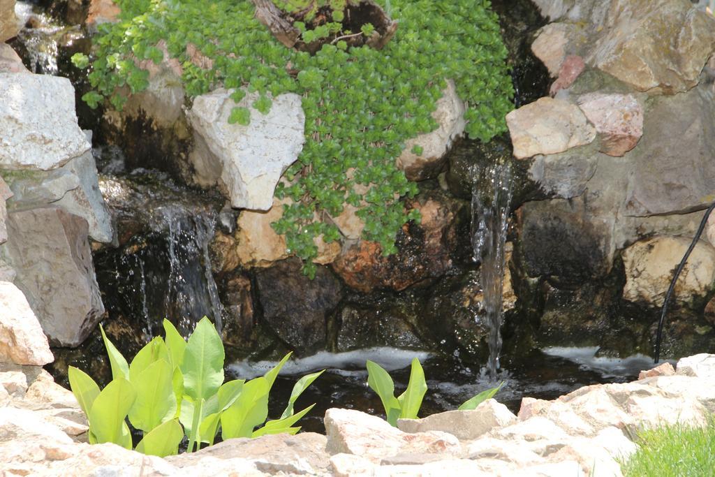 Vila Royal Urziceni エクステリア 写真